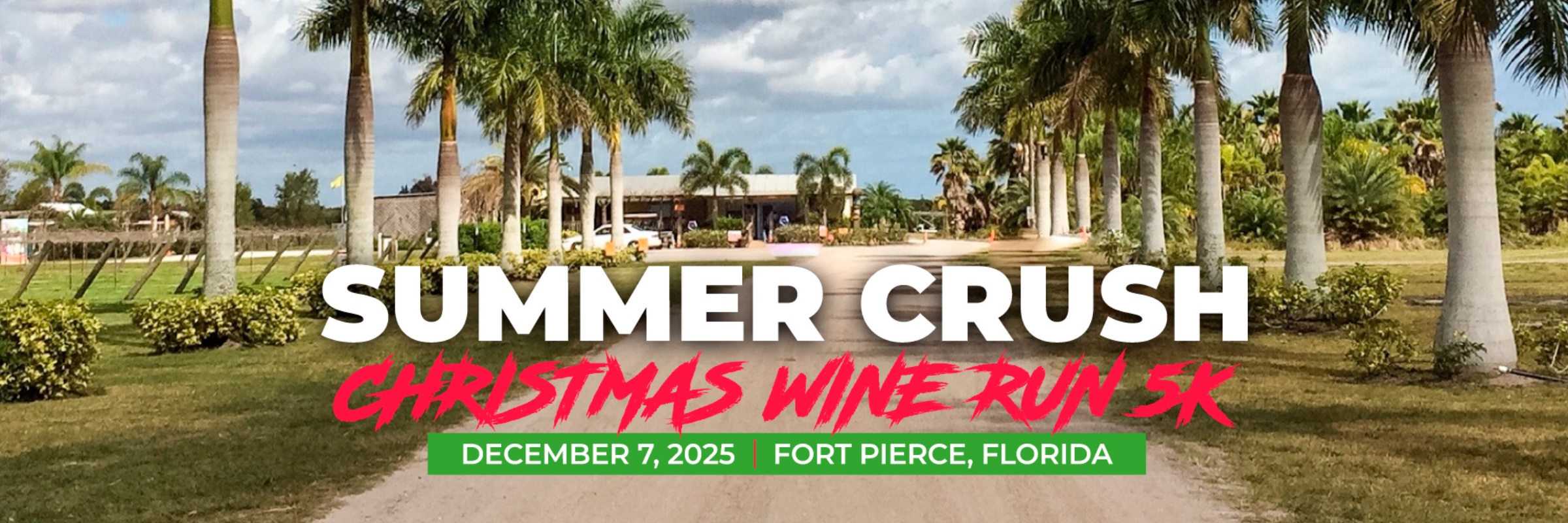 Christmas Wine Run 5K